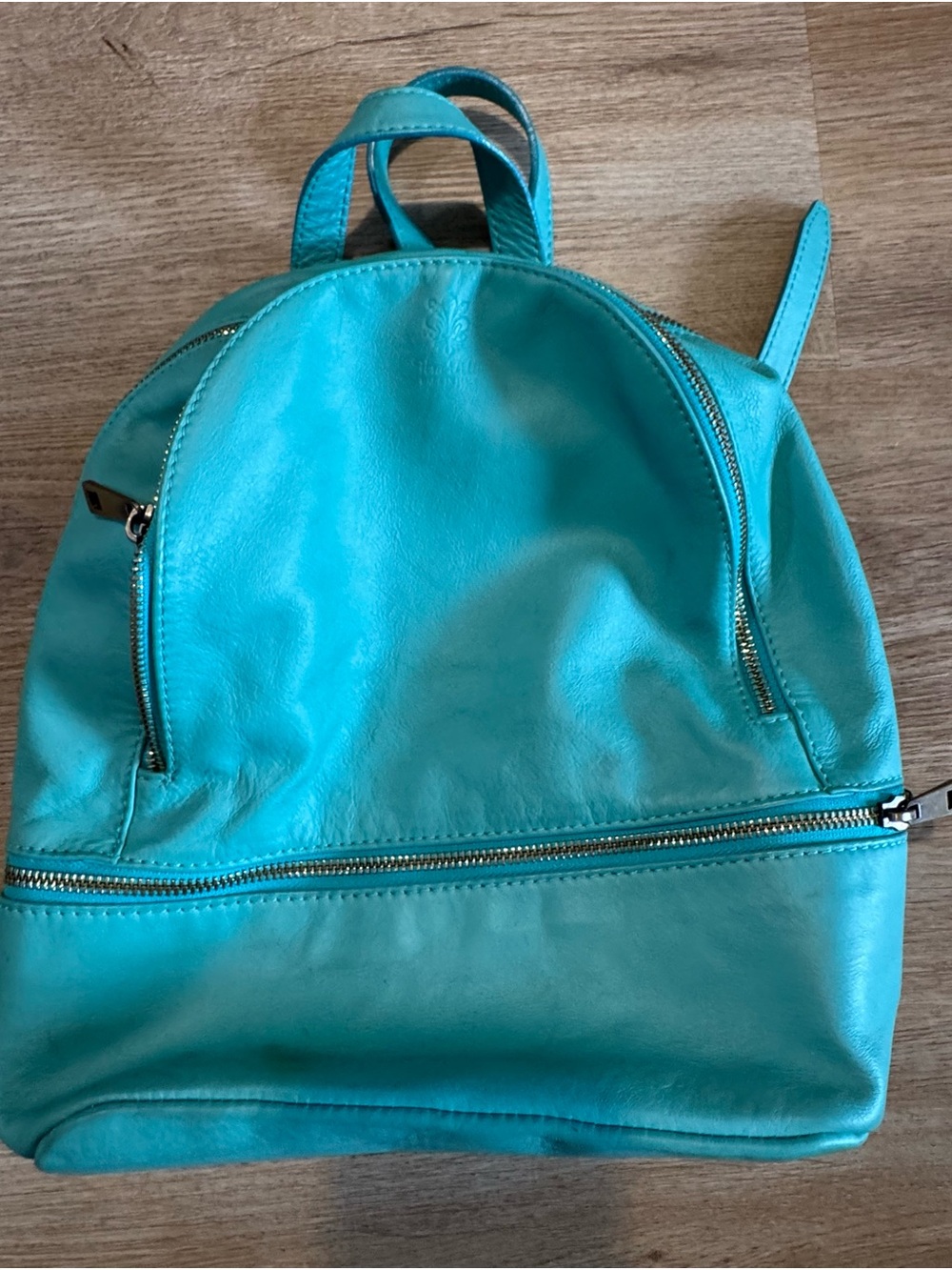 Vera Pelle Teal Leather Backpack
